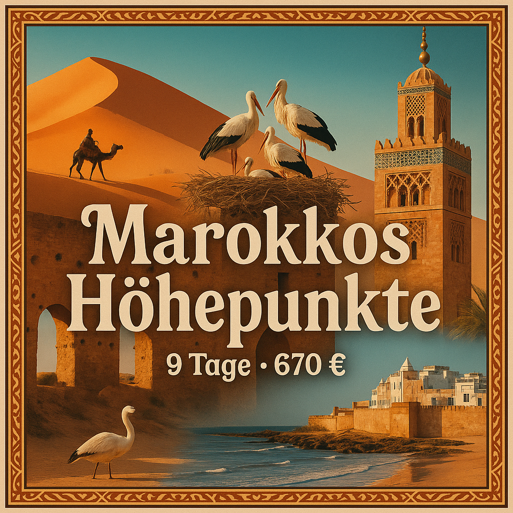 Rundreisen Marokko: Flexible Mietwagen-Rundreise ab Marrakesch bis Casablanca: Marokkos Höhepunkte 8 Nächte Route, Dauer und weitere Reisebestandtei Rundreisen Marokko: Flexible Mietwagen-Rundreise ab Marrakesch bis Casablanca: Marokkos Höhepunkte 8 Nächte Route, Dauer und weitere Reisebestandtei