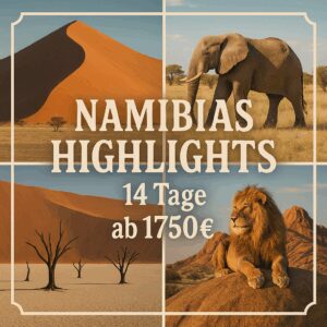 Rundreisen Namibia: Flexible Mietwagen-Rundreise ab/an Windhoek: Namibias Highlights individuell entdecken 13 Nächte Route, Dauer und weitere Reisebe