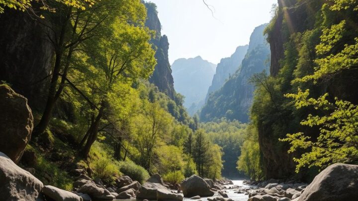 Ibar-Schlucht Rumänien