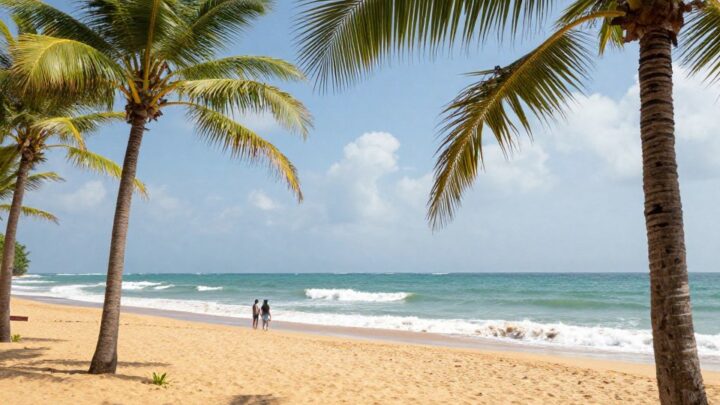 mirissa sri lanka