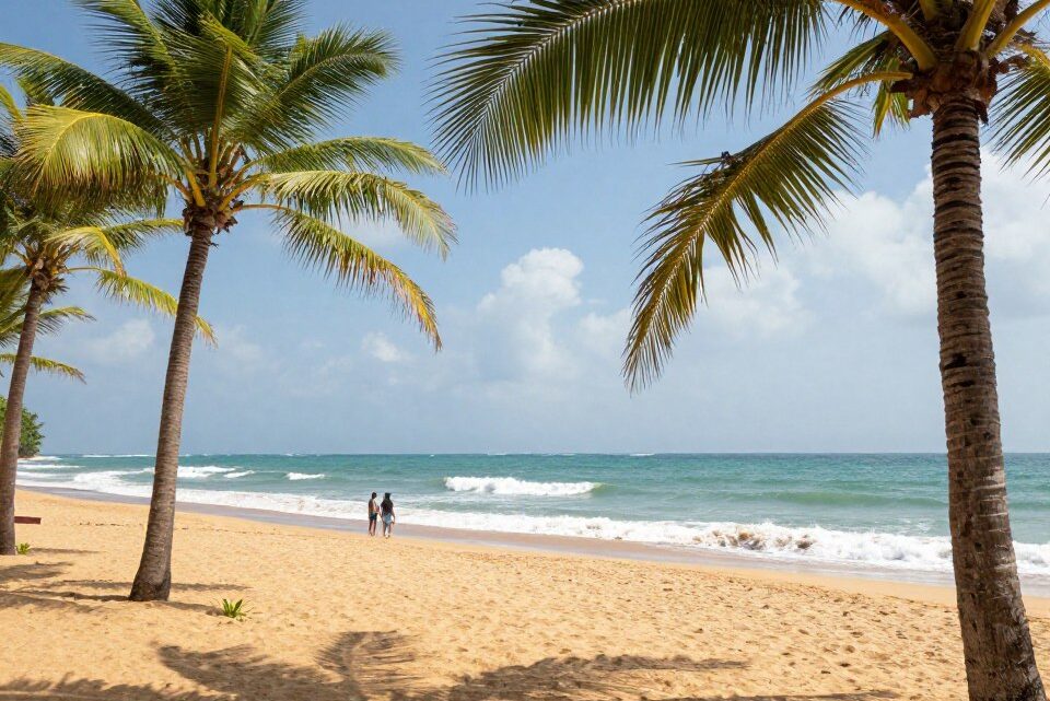 mirissa sri lanka