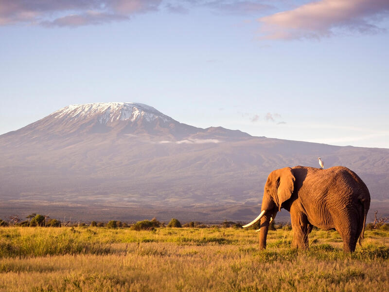 Rundreisen Kenia: Safari, Savanne & Strandträume 17-tägig inkl. Flüge Mittelklasselodges mit Vollpension / 4-Sterne-Hotel mit All Inclusive Inkl. 6